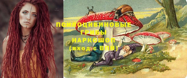 шишки Армянск