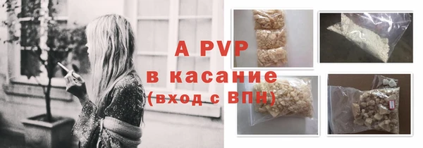 сатива Арсеньев