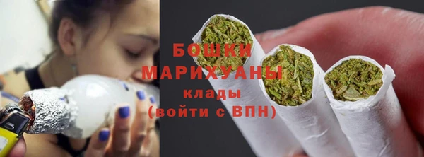 сатива Арсеньев