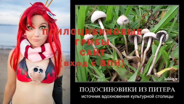 шишки Армянск