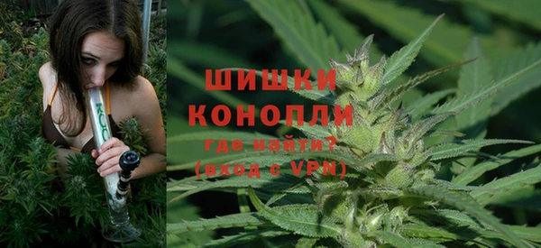 шишки Армянск