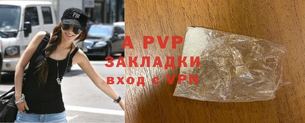 сатива Арсеньев
