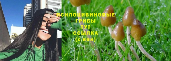 шишки Армянск