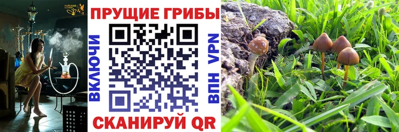 Галлюциногенные грибы Magic Shrooms  mega   Уфа 