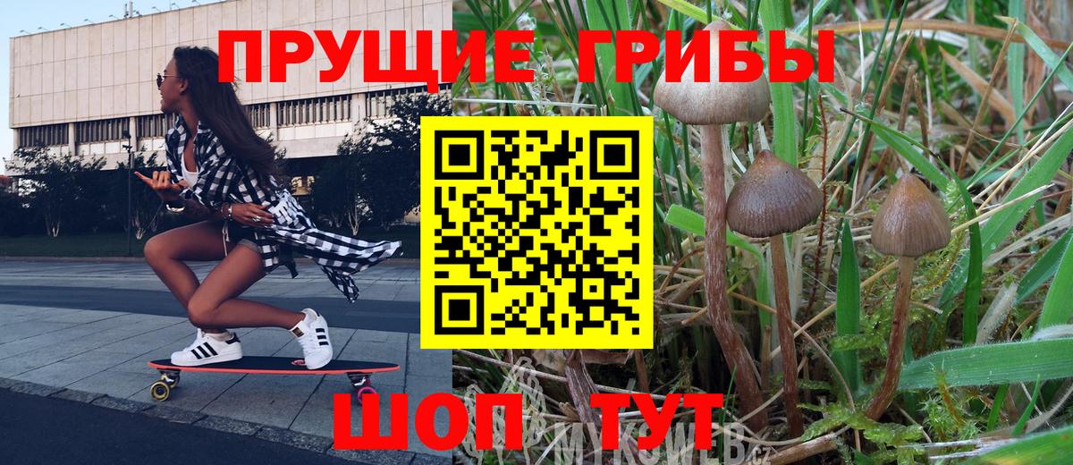 где купить   Вход с VPN  Уфа  Псилоцибиновые грибы прущие грибы 